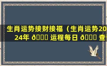 生肖运势接财接福（生肖运势2024年 🐅 运程每日 🐛 查询）